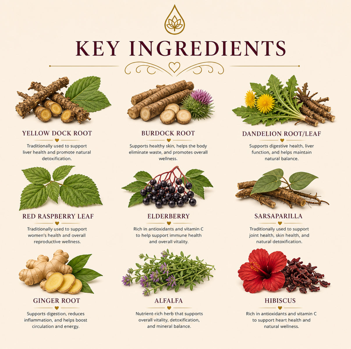 CROWN STRENGTH

Iron Boost Wellness Tea